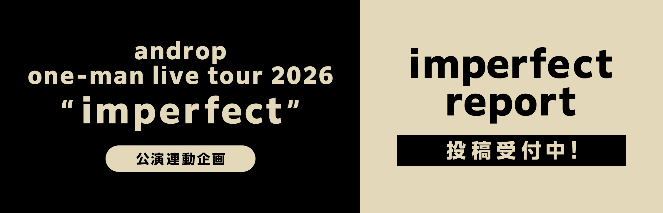 imperfect report
