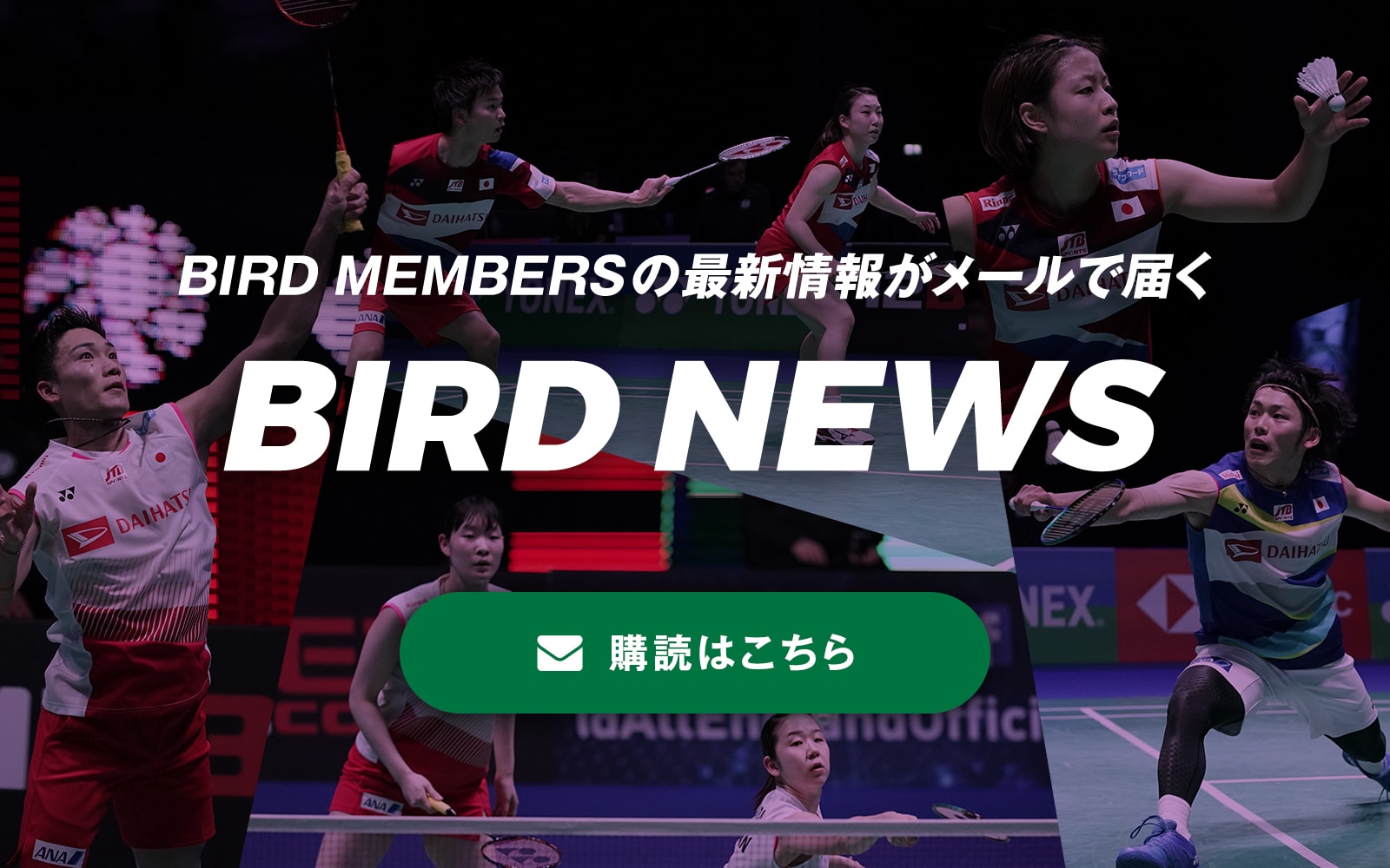 BIRD NEWS