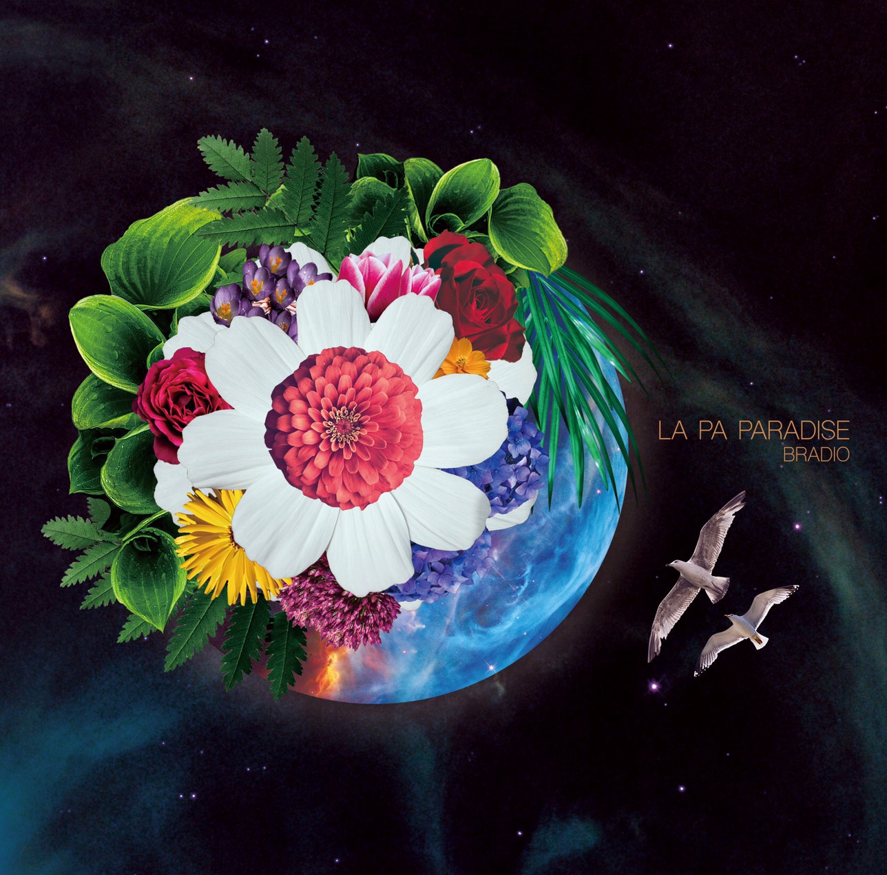 メジャー1st single LA PA PARADISE(初回盤)