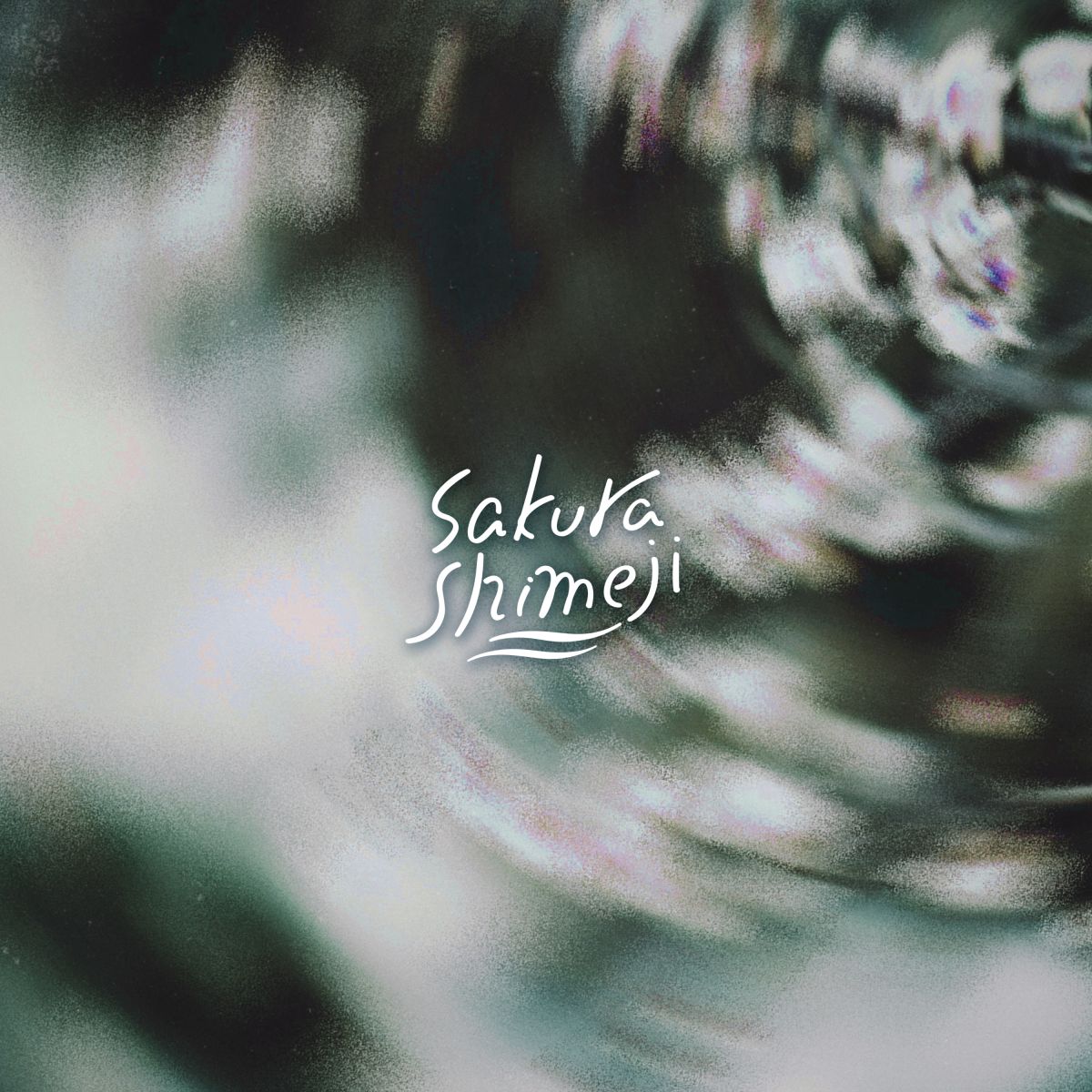 Sakurashimeji Digital Single「春が鳴った」