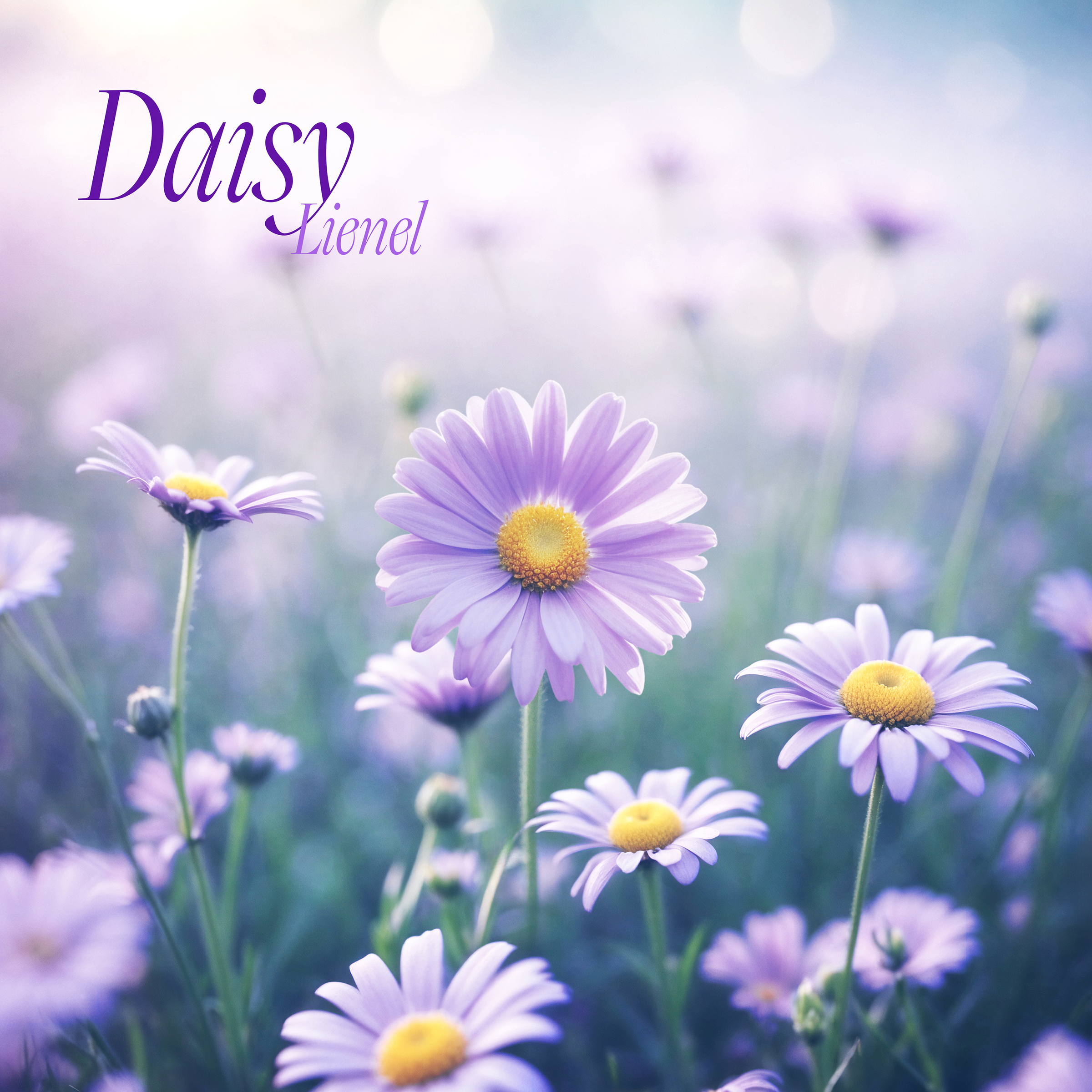 Lienel Digital Release「Daisy」