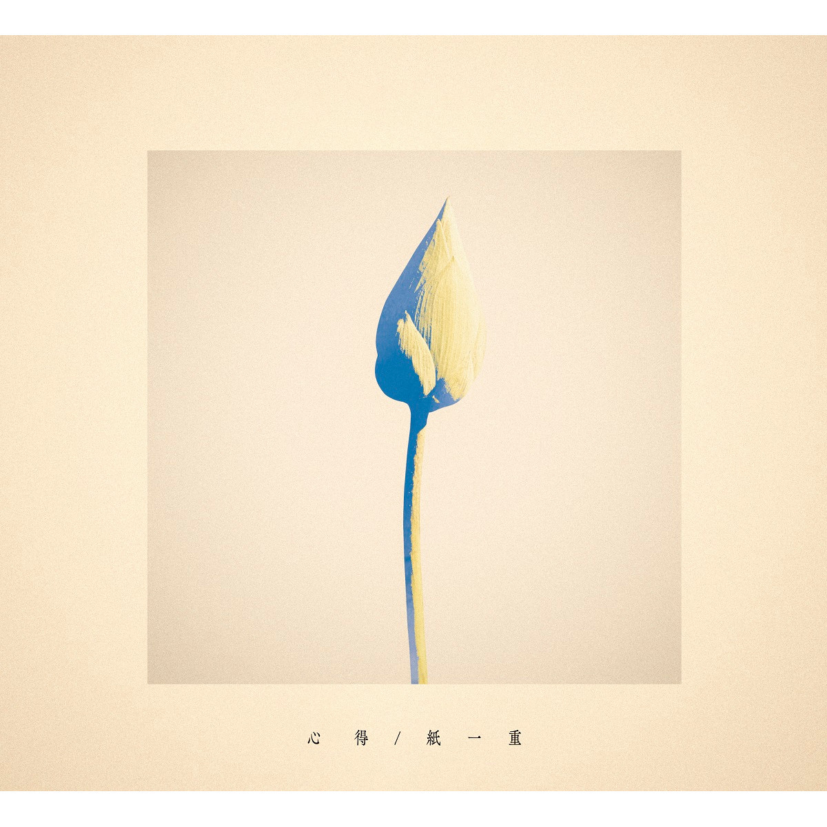 13th Single「心得/紙一重」【ドラマ盤】