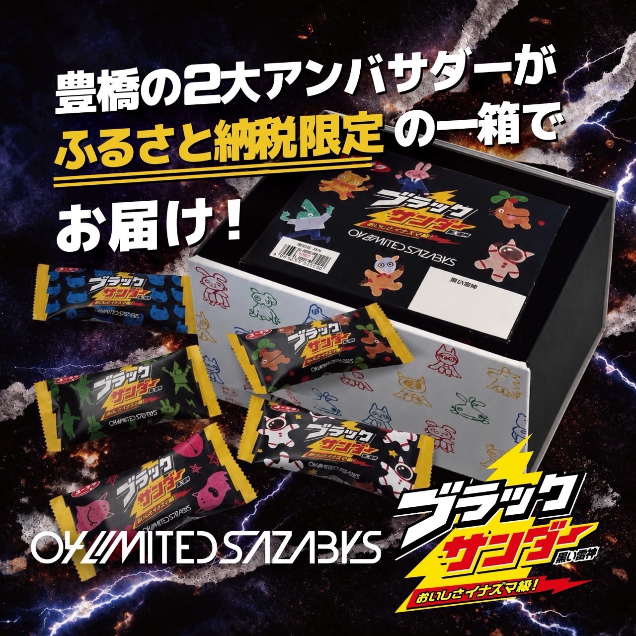 豊橋コラボ！ふるさと納税限定返礼品が登場！