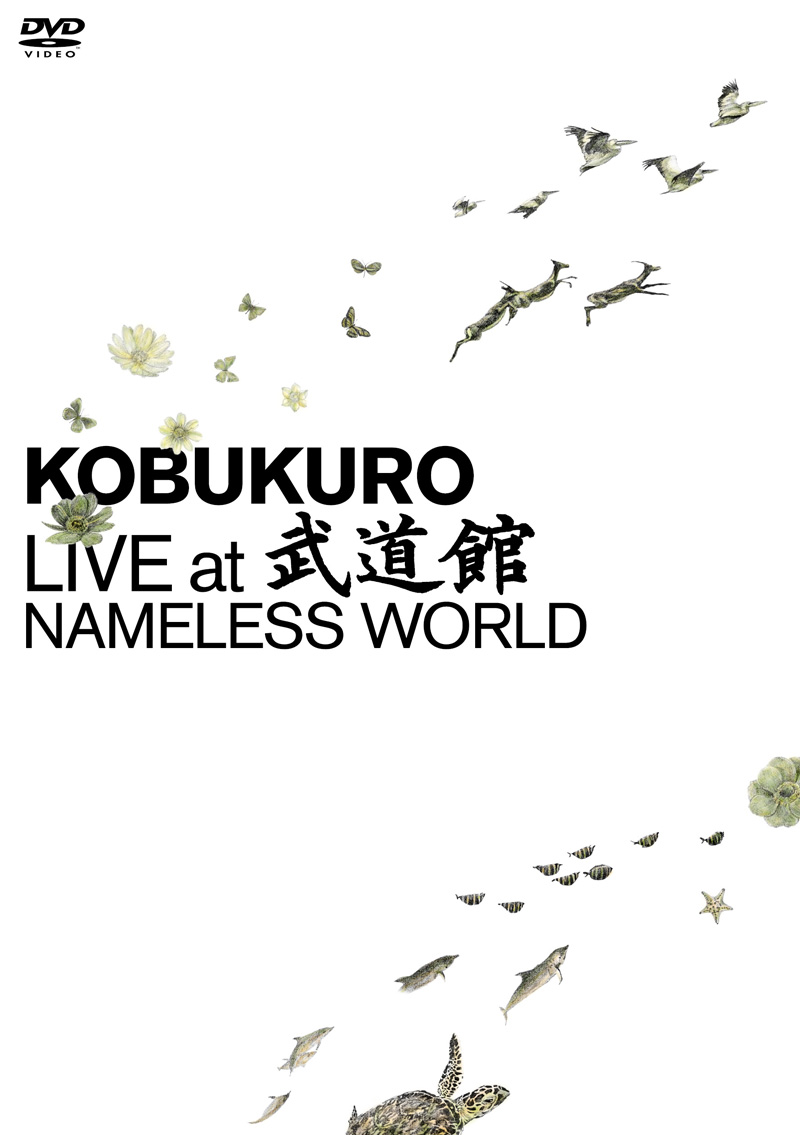 DVD｜KOBUKURO.com