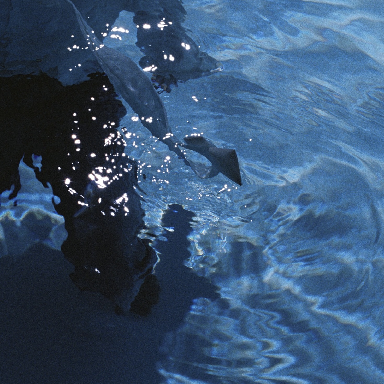 Like Water / FENGFAN (INI)