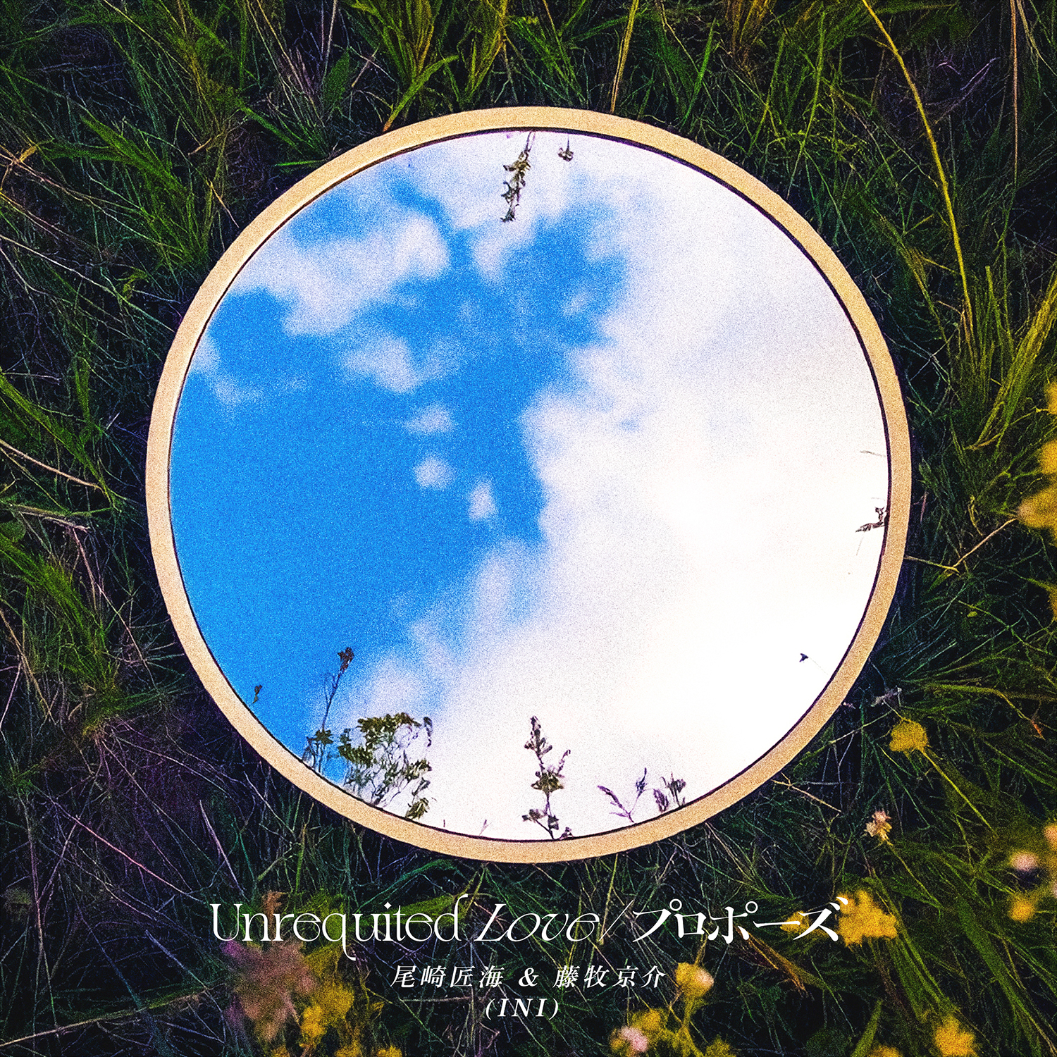 Unrequited Love / プロポーズ