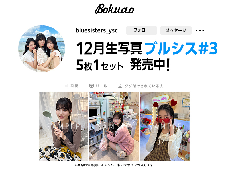 【ブルシス#3】