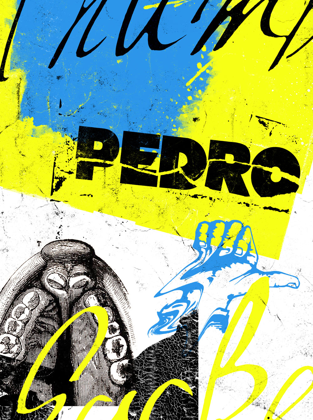 ALBUM｜PEDRO OFFICIAL SITE