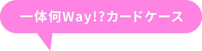 一体何Way!?カードケース