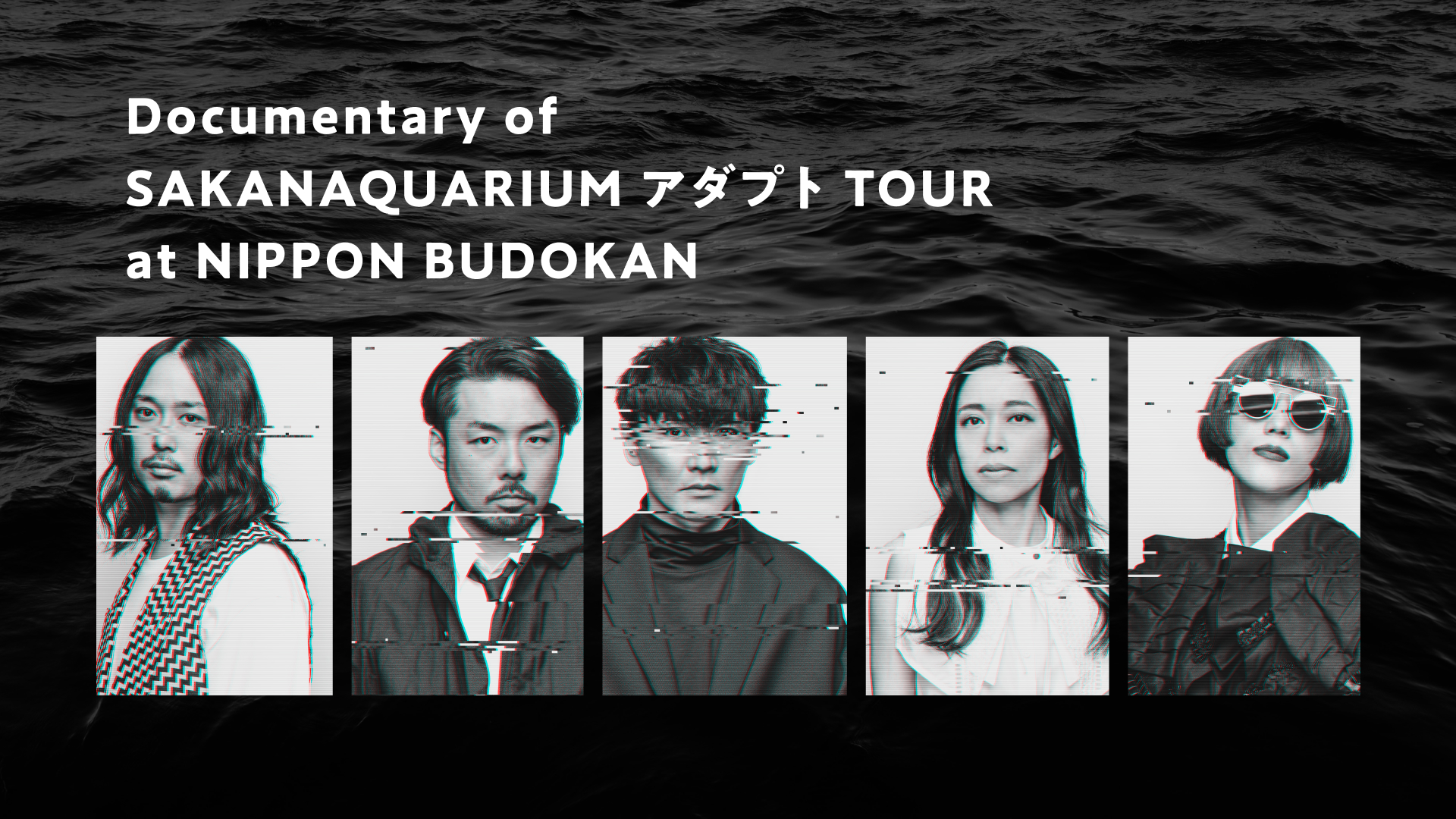 Documentary of SAKANAQUARIUM アダプト TOUR at NIPPON BUDOKAN