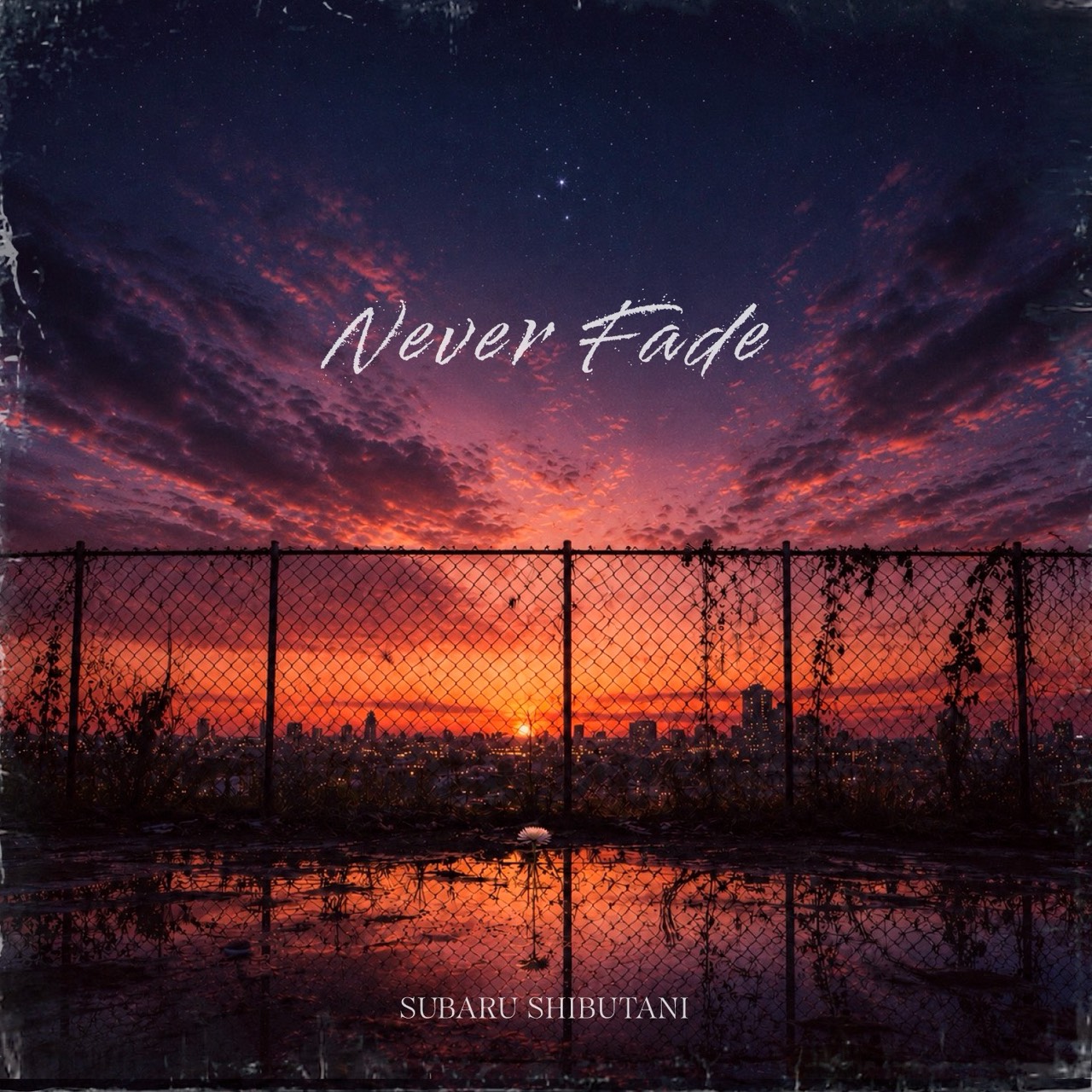 Digital Single「Never Fade」