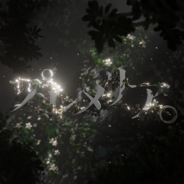 プルメリア｡   (Knight A - 騎士A -)