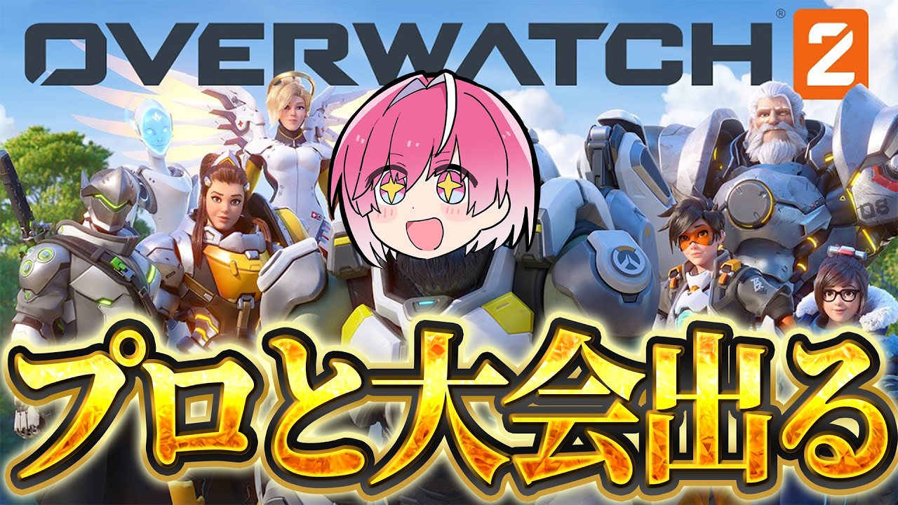 STPRを背負ってゲーム大会に出る【STPR】【めておら】
