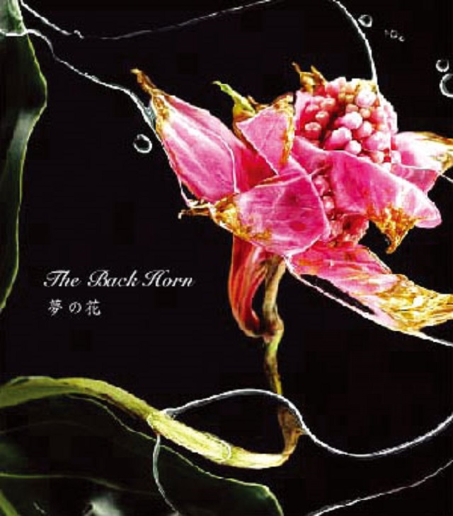 8th Single夢の花