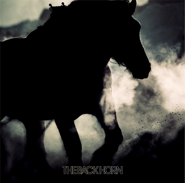 バックホーン THE BACK HORN CD17枚セット 初回限定盤 DVD付-