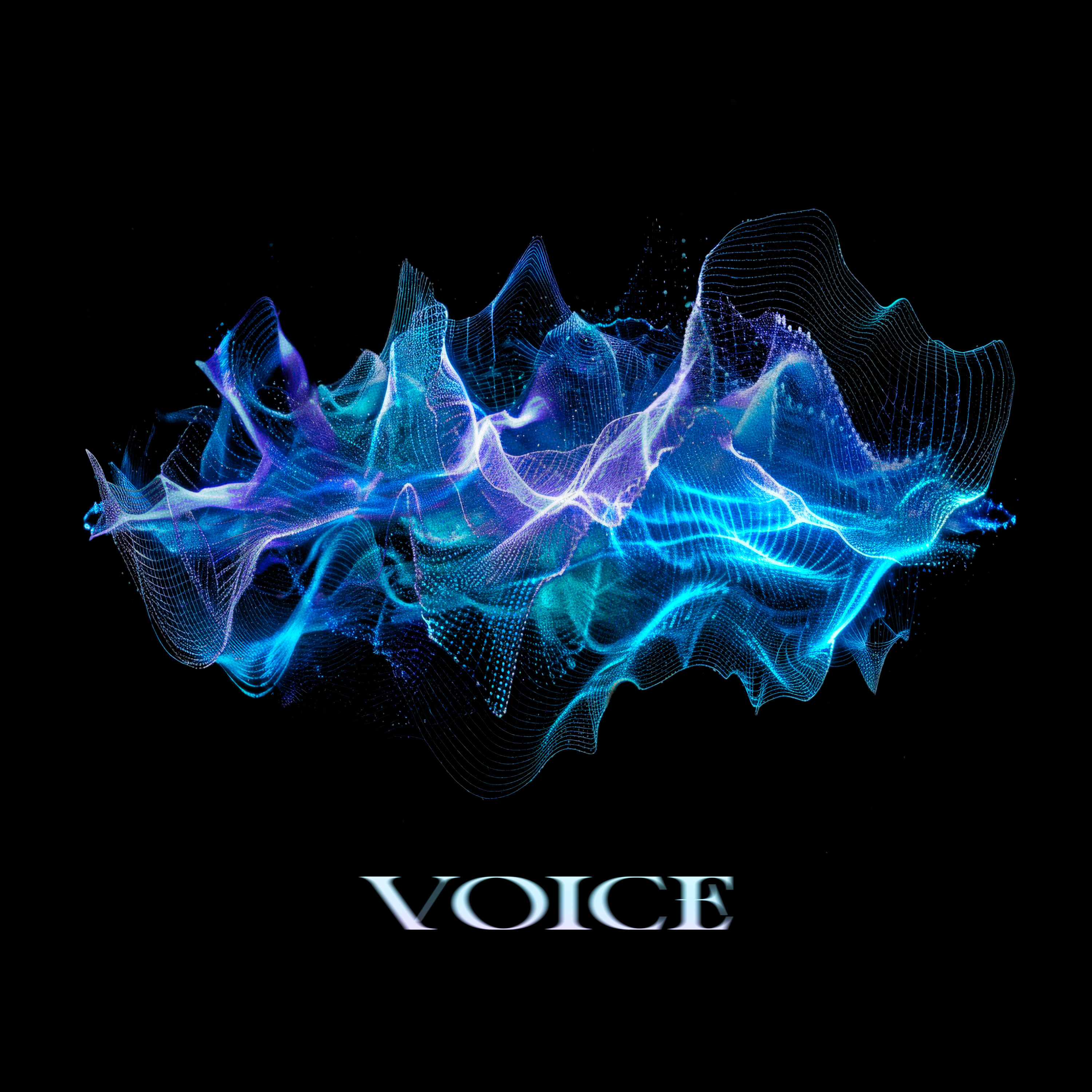 Digital Single「VOICE」