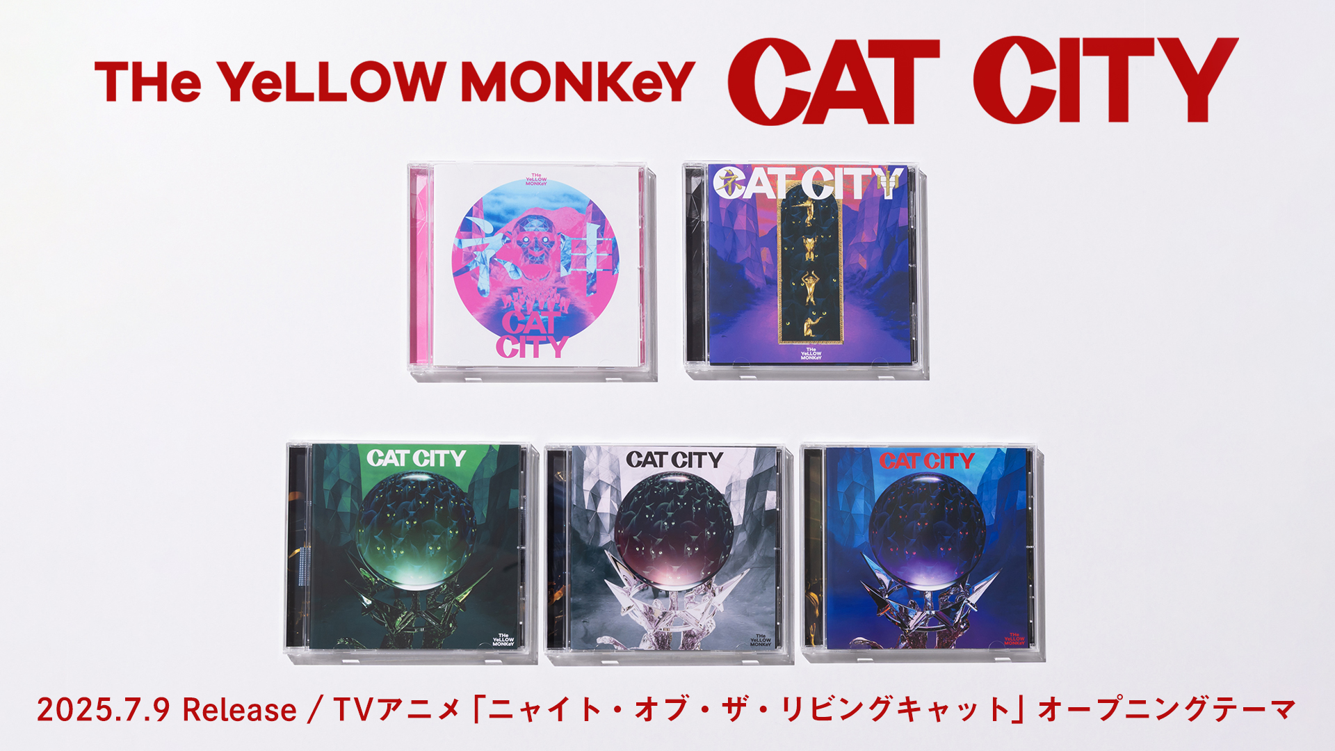 26th Single「CAT CITY」7/9(水)リリース！