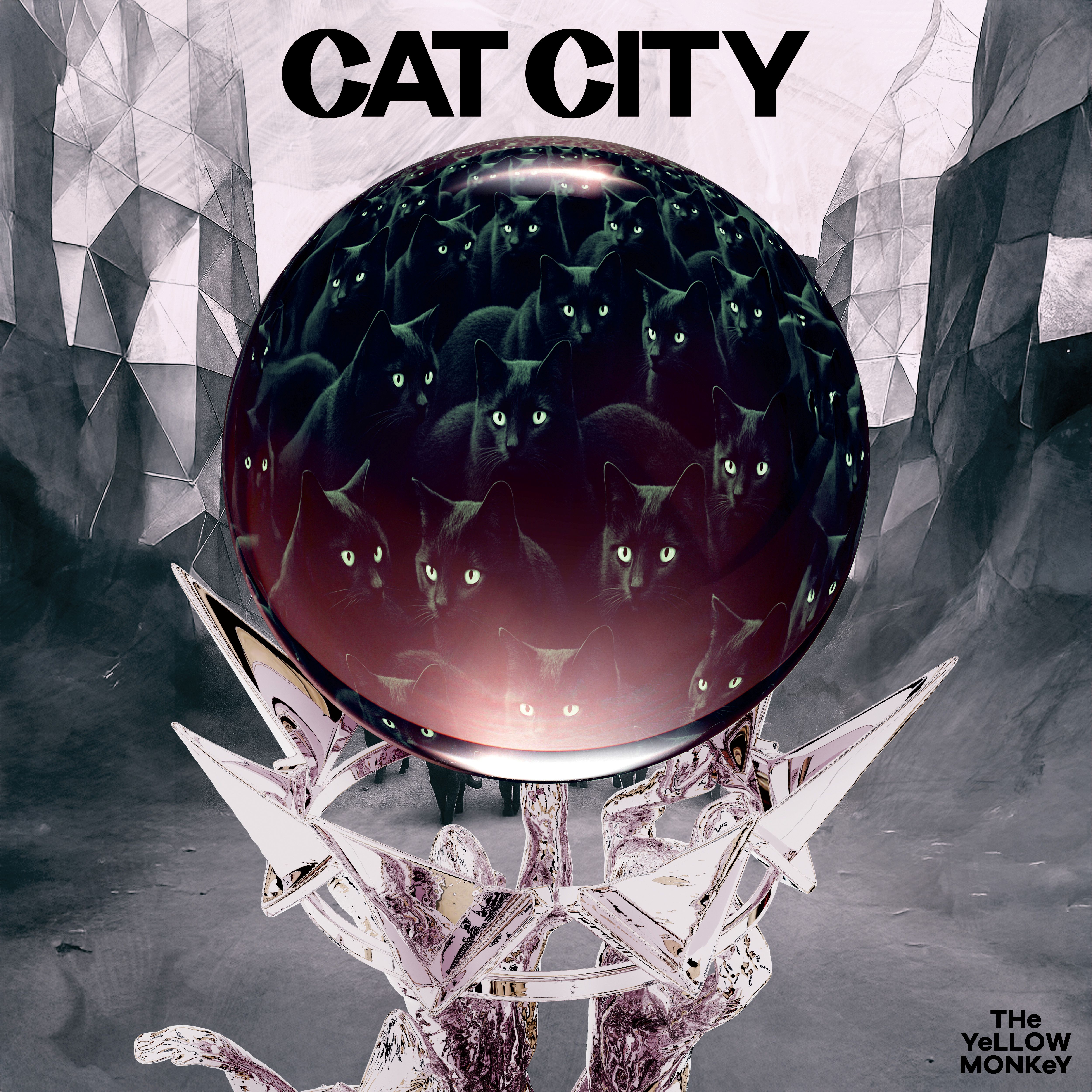 CAT CITY