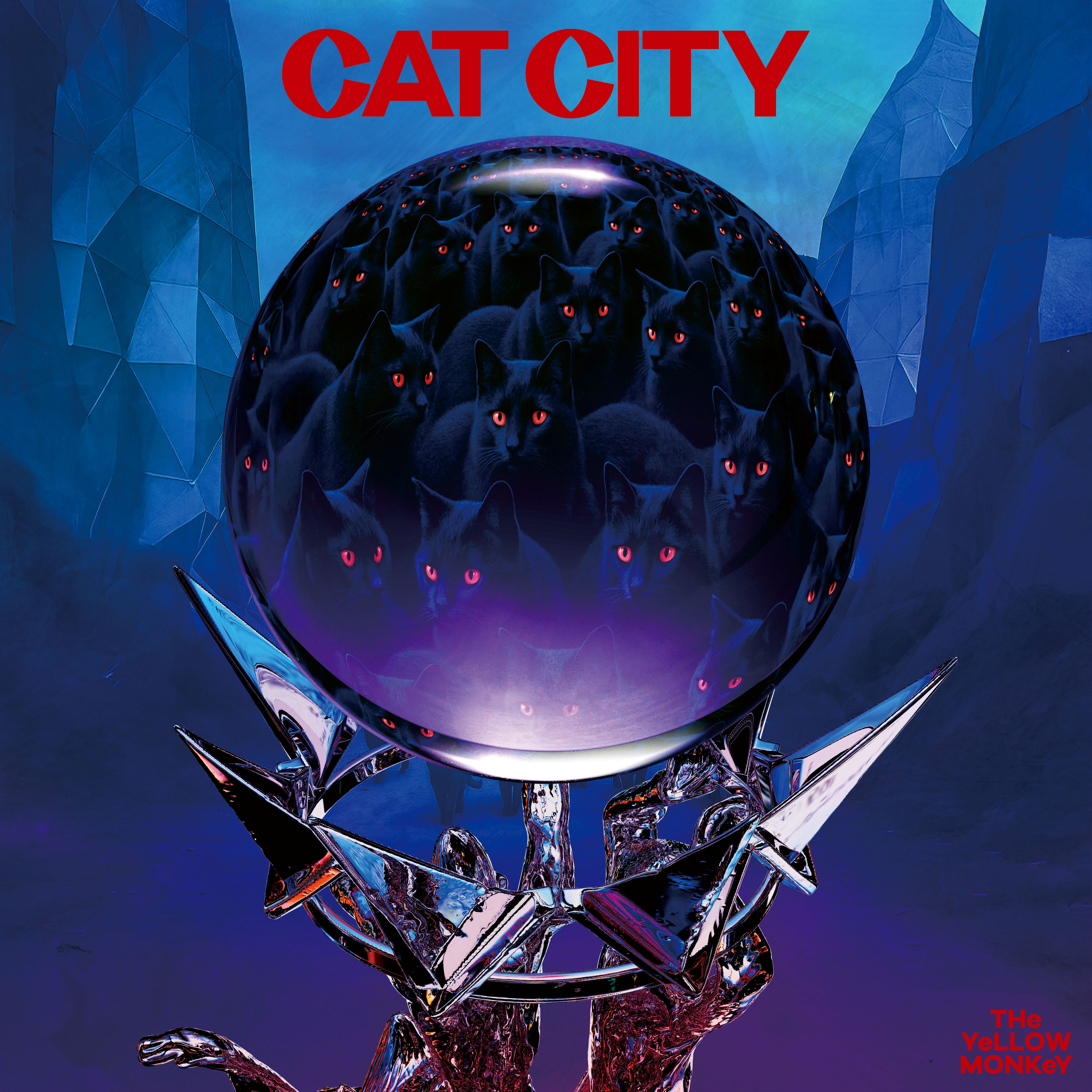 CAT CITY