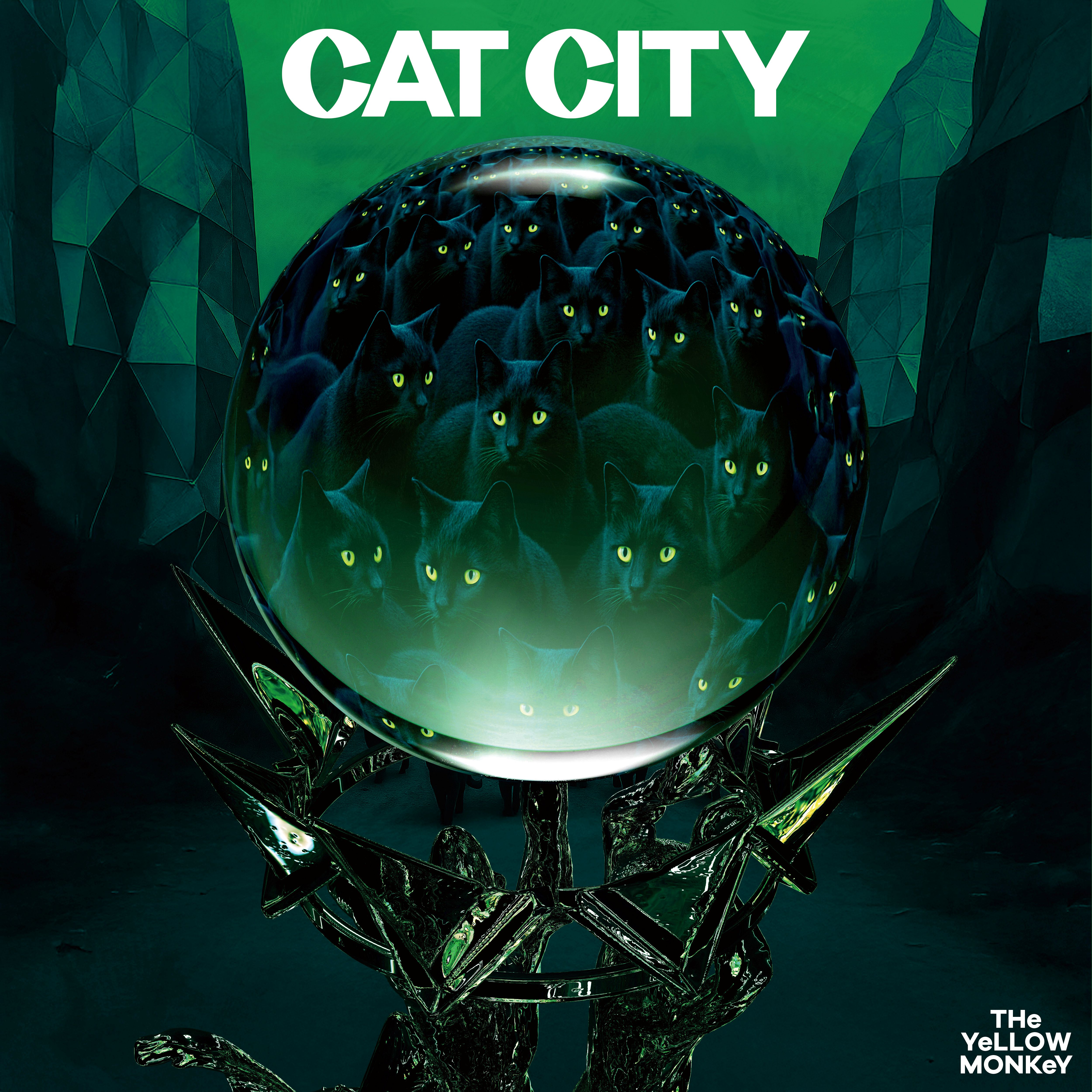 CAT CITY