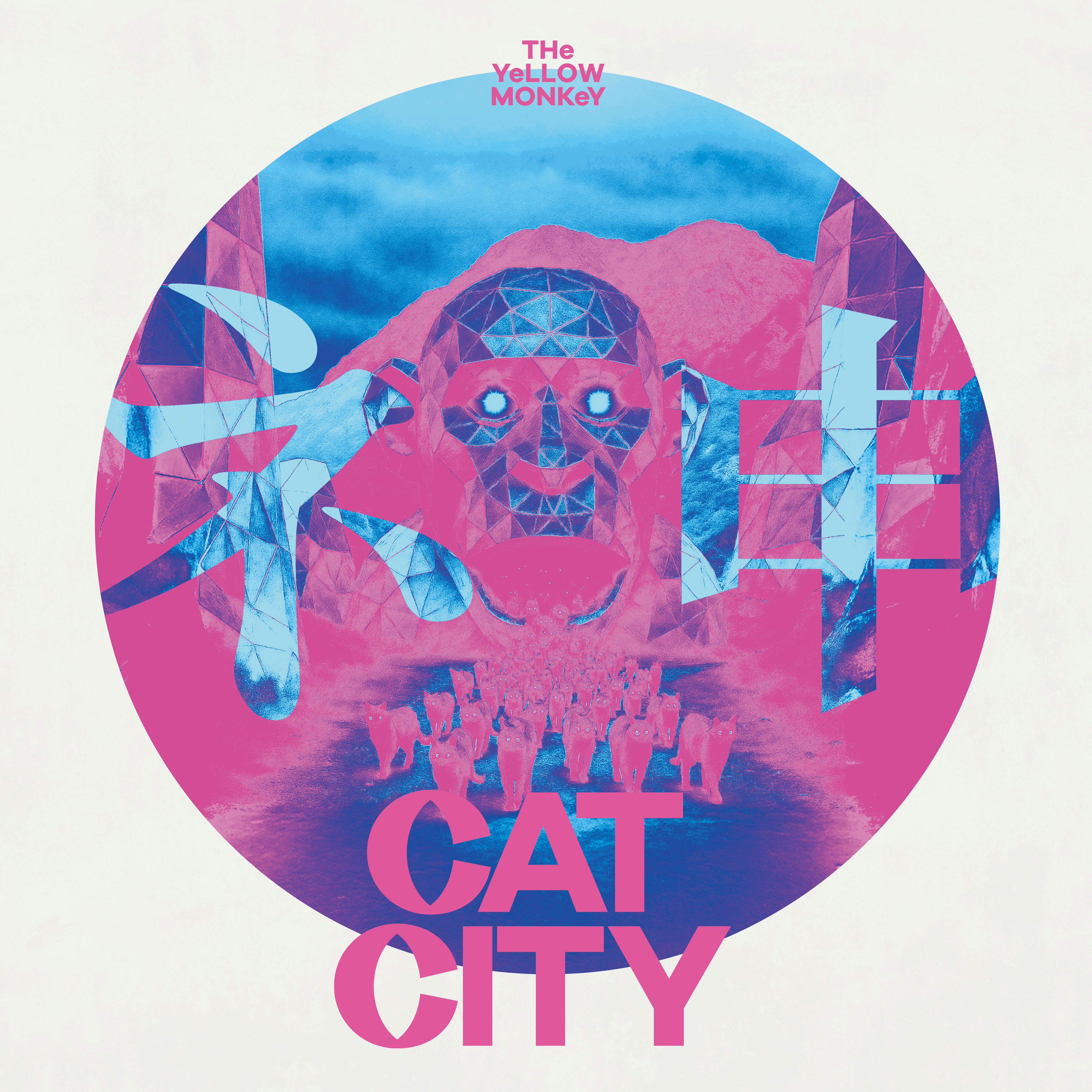 CAT CITY