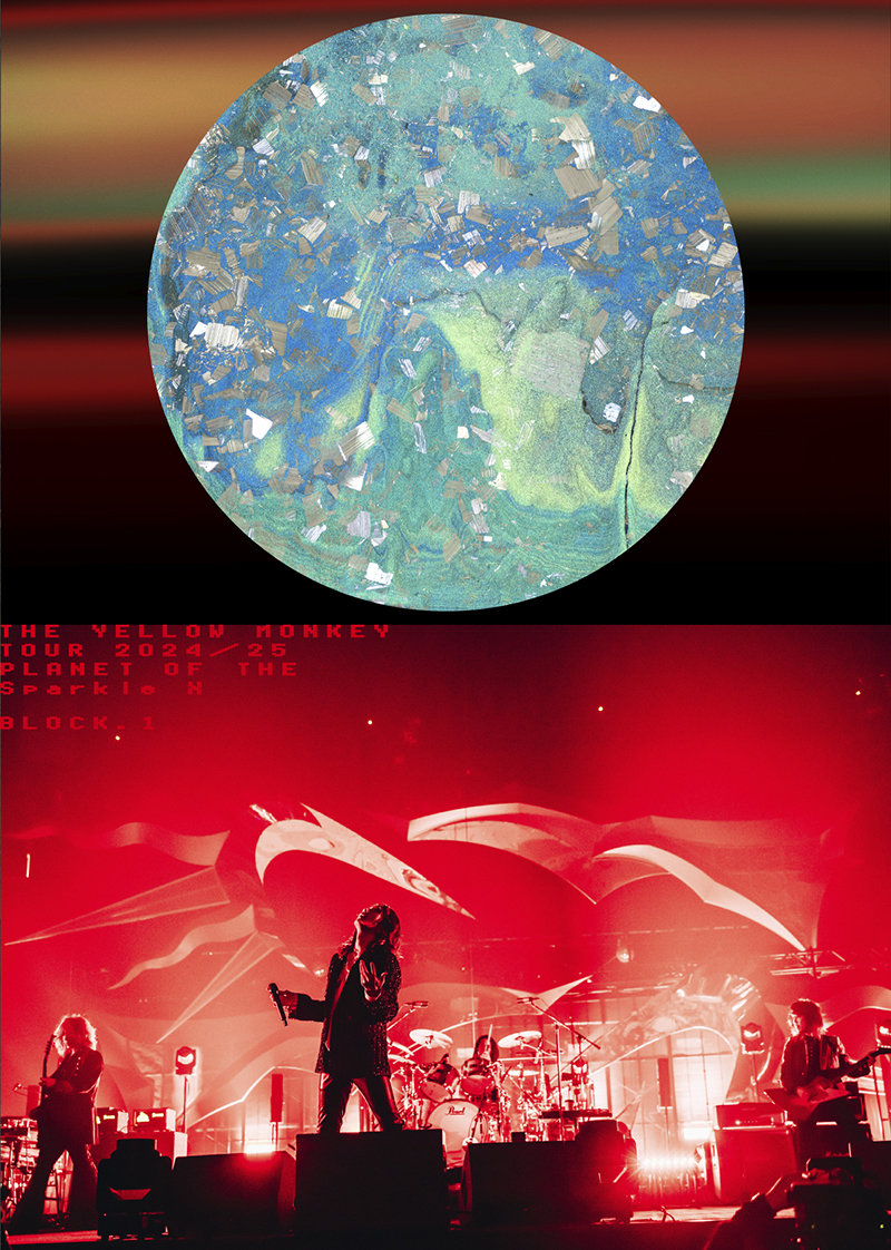 THE YELLOW MONKEY TOUR2024/25 Sparkleの惑星X（DVD）