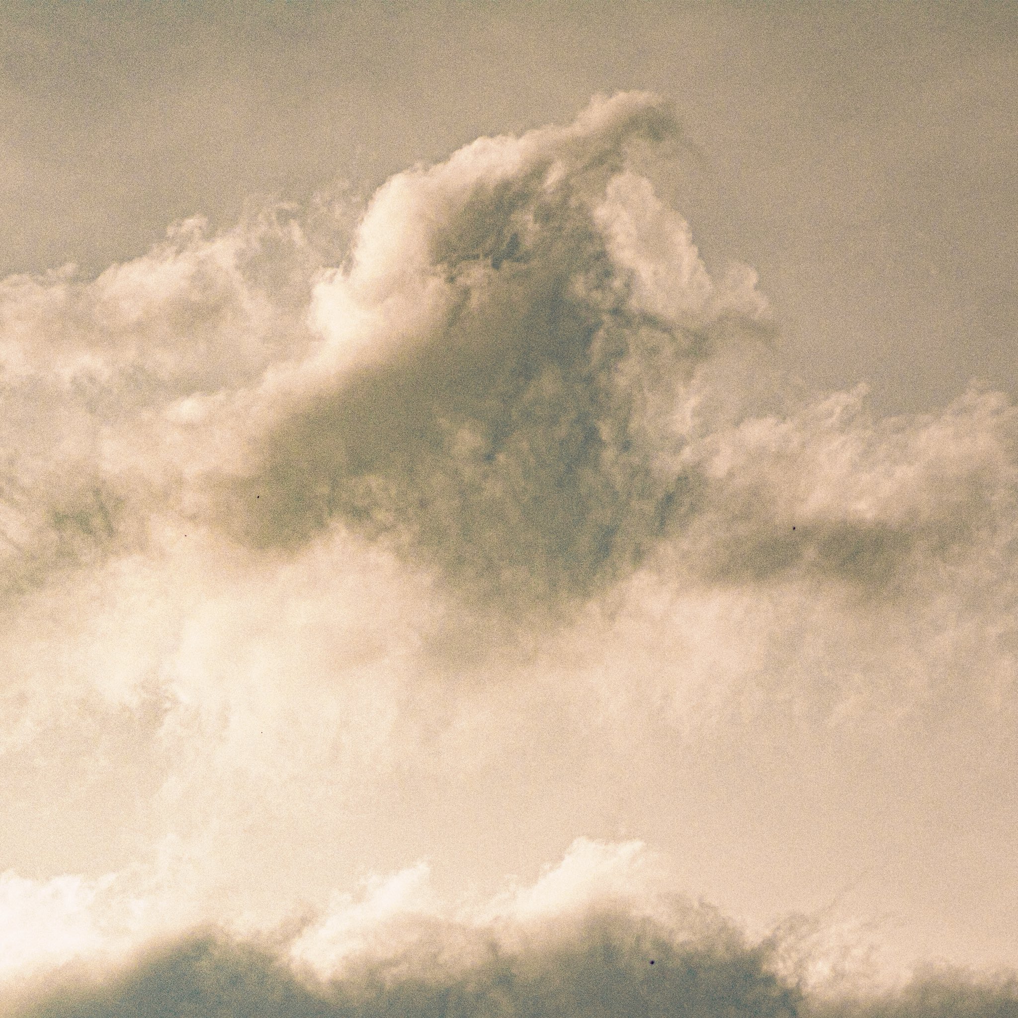 DIGITAL SINGLE忘れる前に DIGITAL SINGLE忘れる前に