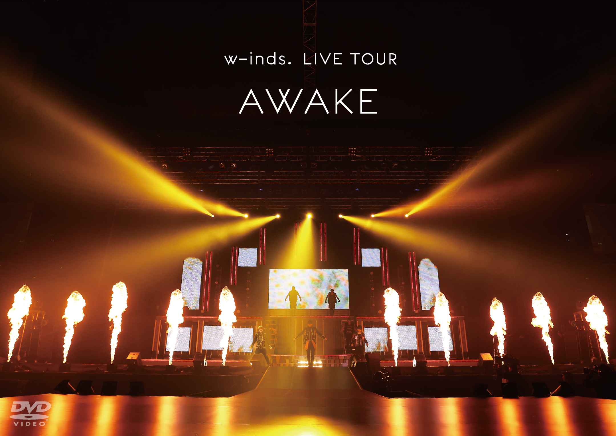 w-inds. LIVE TOUR "AWAKE" at 日本武道館